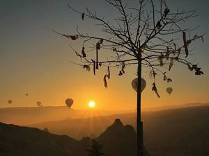 Dawn Balloon Flight