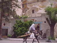 Village Lady on a Donkey